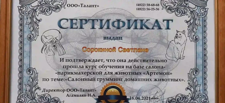 Сертификат об окончании курса груминга