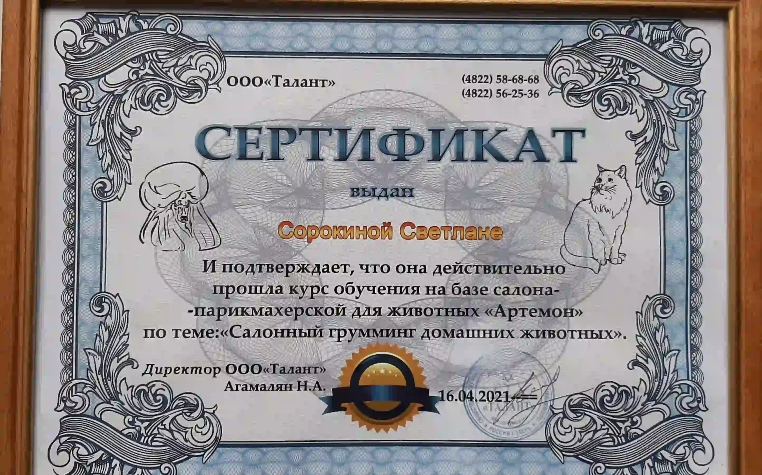 Где учат на грумера