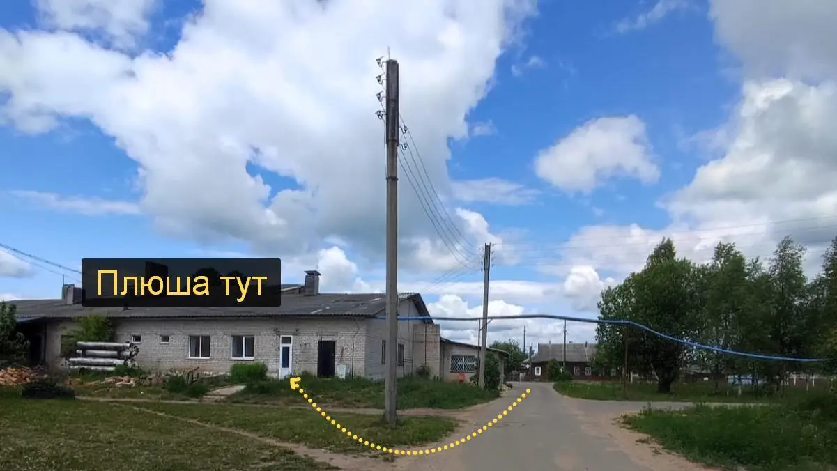 Улица Новая дом 1Б, Баня посёлка Рамешки, вид со двора где находится грумер зоосалона Плюша